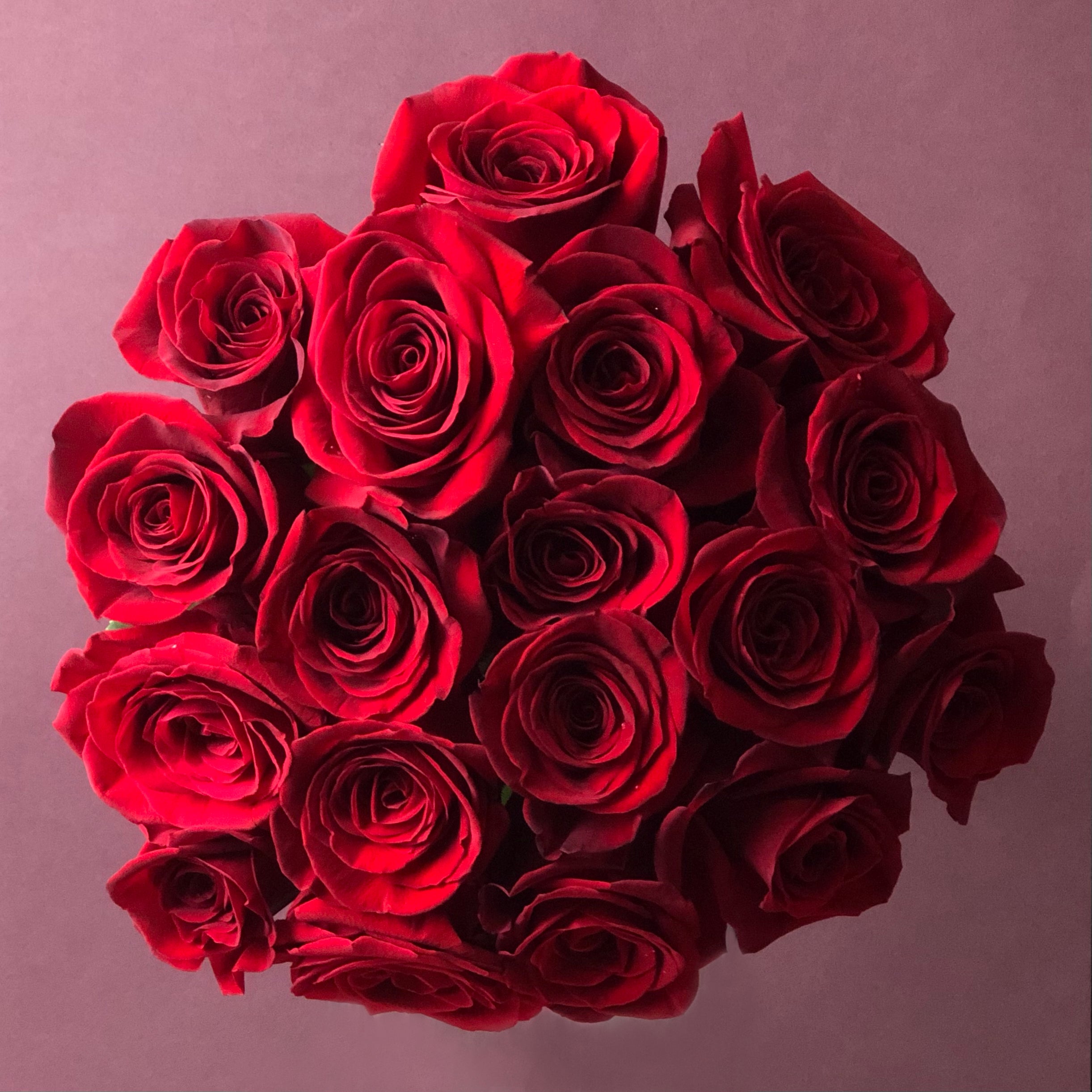 Bouquet of roses - Delivery 12, 18, 24, 30 roses | ROSES