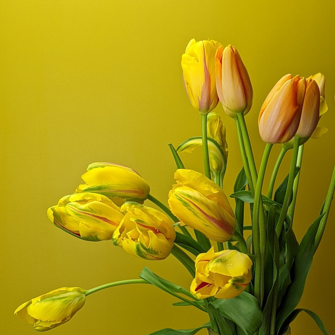 Easter Flowers - Pourquoi pas fleurs