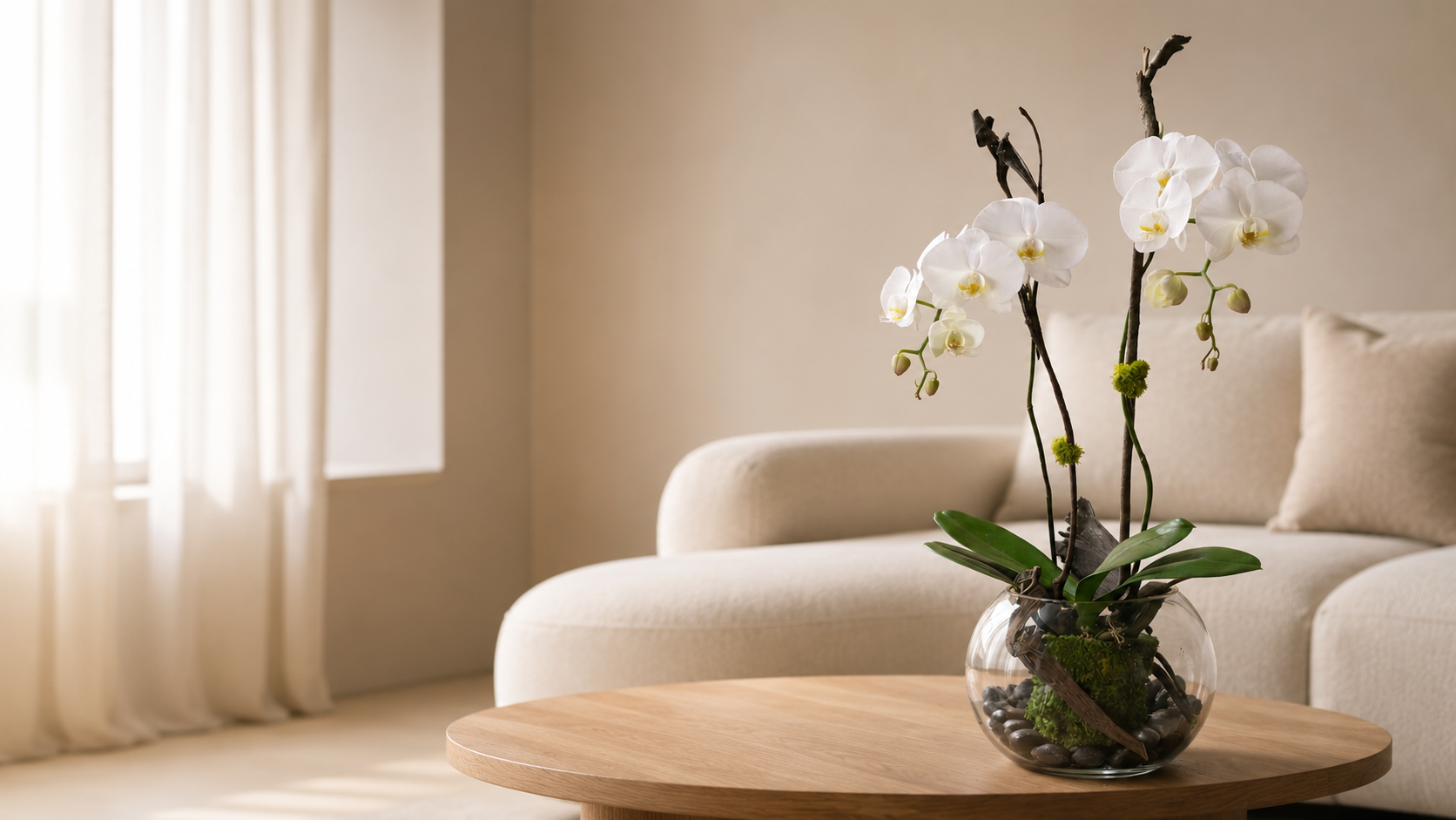 White orchid banner by Pourquoi Pas Fleurs featuring elegant Phalaenopsis orchids styled in a clear glass bowl and a white ceramic planter, photographed in soft natural light for a refined Montreal florist collection.