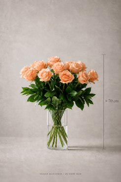 Peach rose bouquet in a clear glass vase with approximate 65 cm height reference and illustrated size note.
