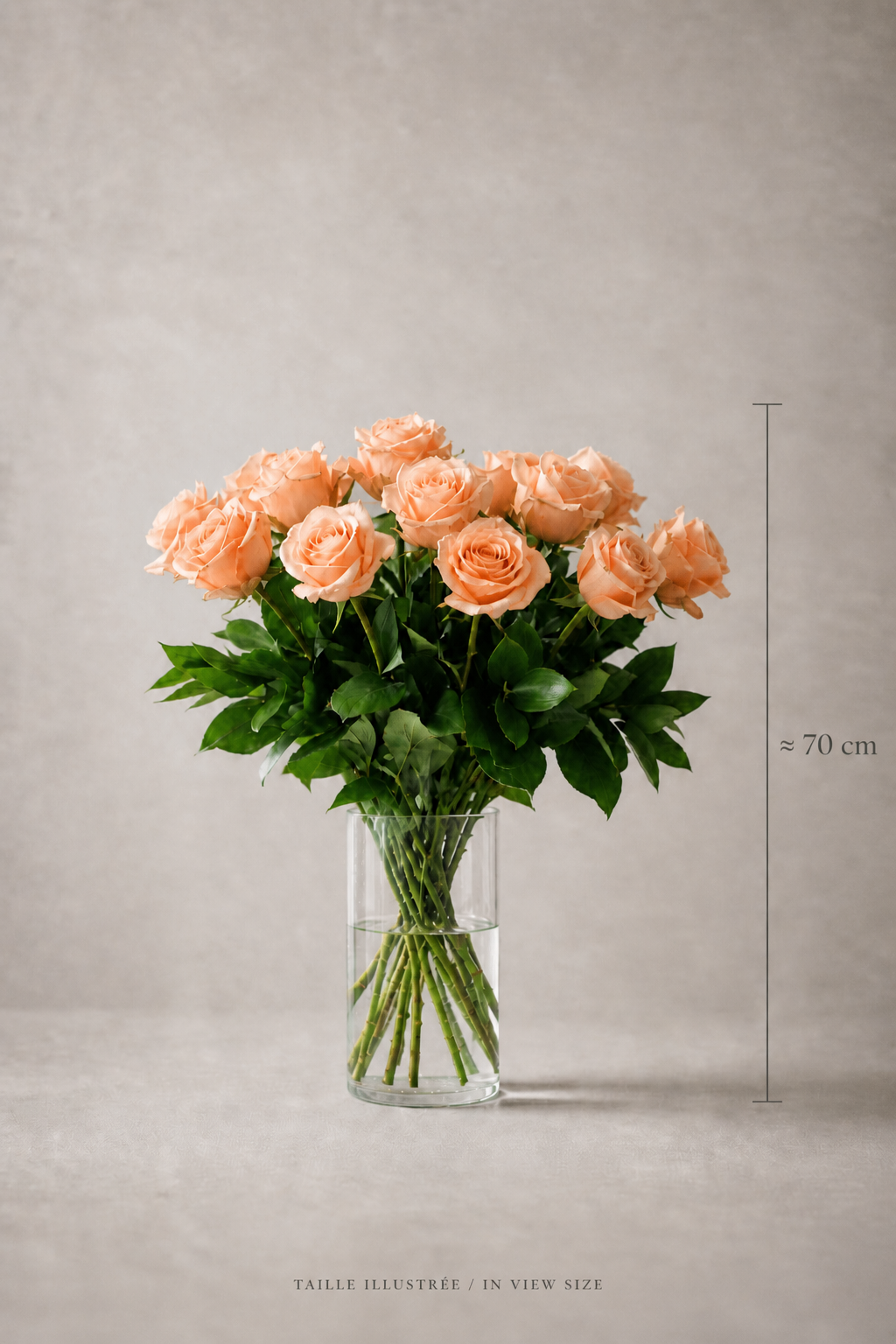Peach rose bouquet in a clear glass vase with approximate 65 cm height reference and illustrated size note.
