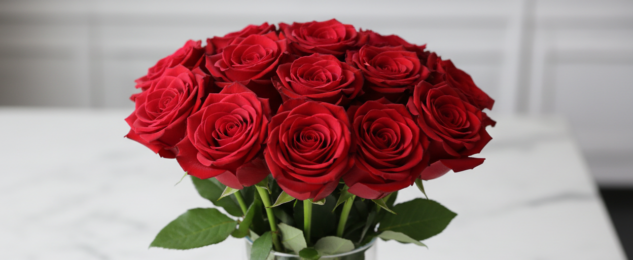 12 red roses without ruban very chic high definition