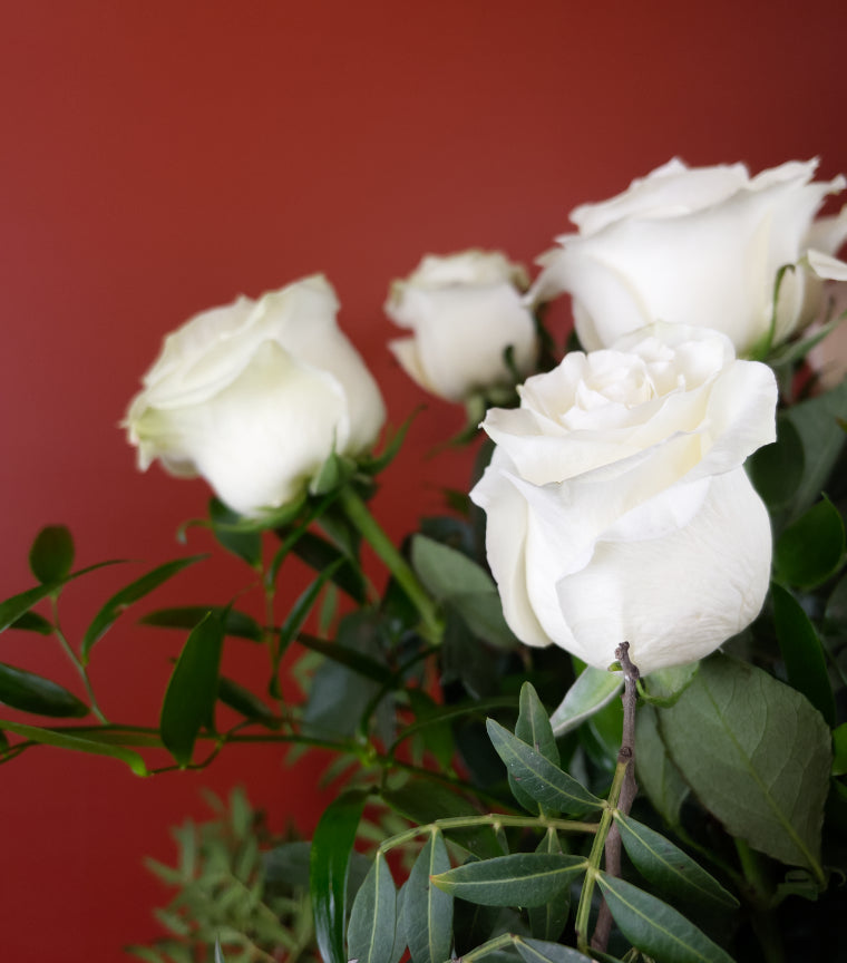 12 roses blanches à longues tiges