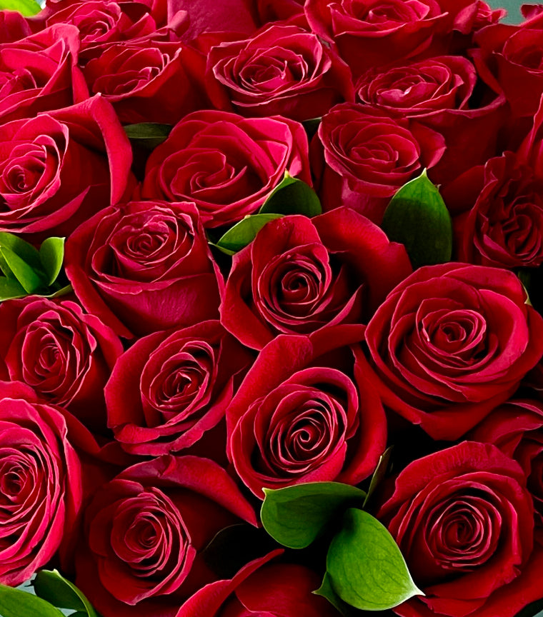 Boite Saint-Valentin avec bouquet de 36 roses rouges courtes