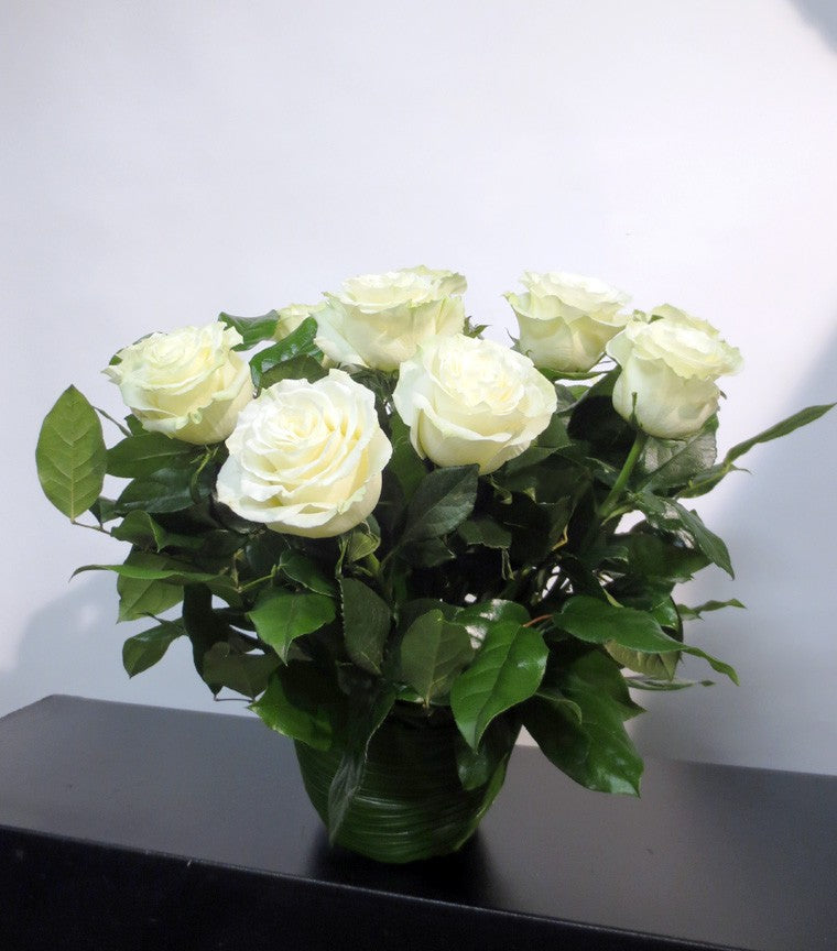 Roses blanches