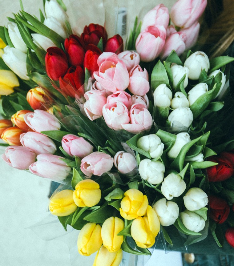 Tulips Bouquet fresh cut flowers, delivered  Montreal Best Florist – Spring
