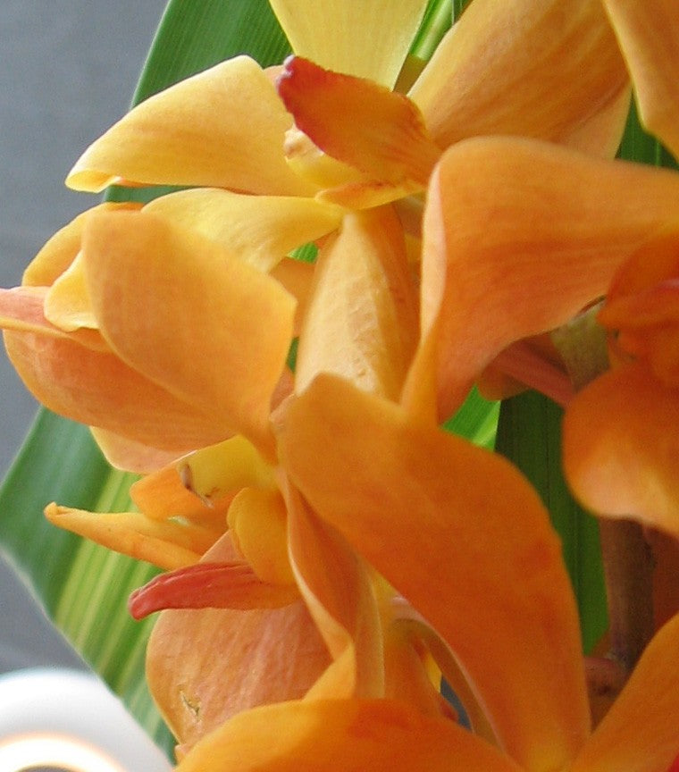 Bouquet de fleuriste pour la Saint-Valentin