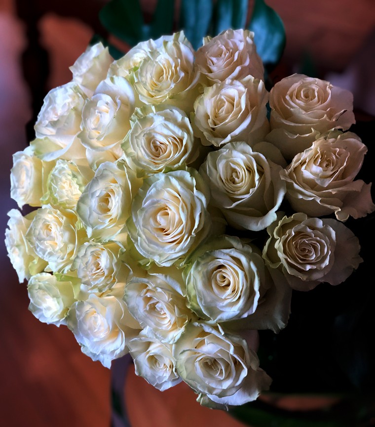 Bouquet 50 longues roses blanches