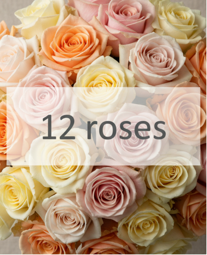 bouquet 12 pastel roses