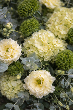 Top view floral detail of a sympathy arrangement featuring pale yellow lisianthus, soft green hydrangeas, green trick dianthus and eucalyptus with visible botanical texture and elegant softness.