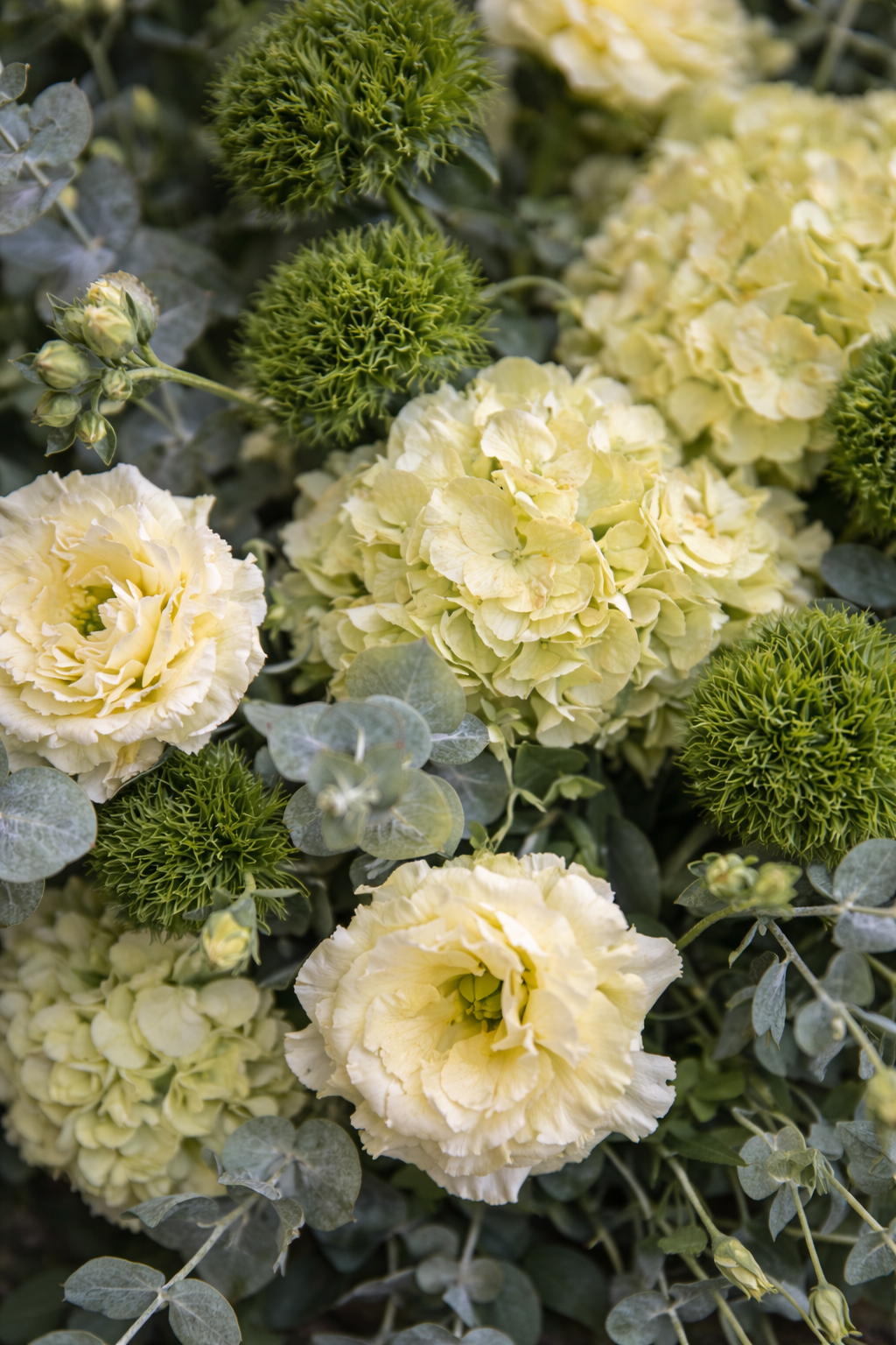 Top view floral detail of a sympathy arrangement featuring pale yellow lisianthus, soft green hydrangeas, green trick dianthus and eucalyptus with visible botanical texture and elegant softness.