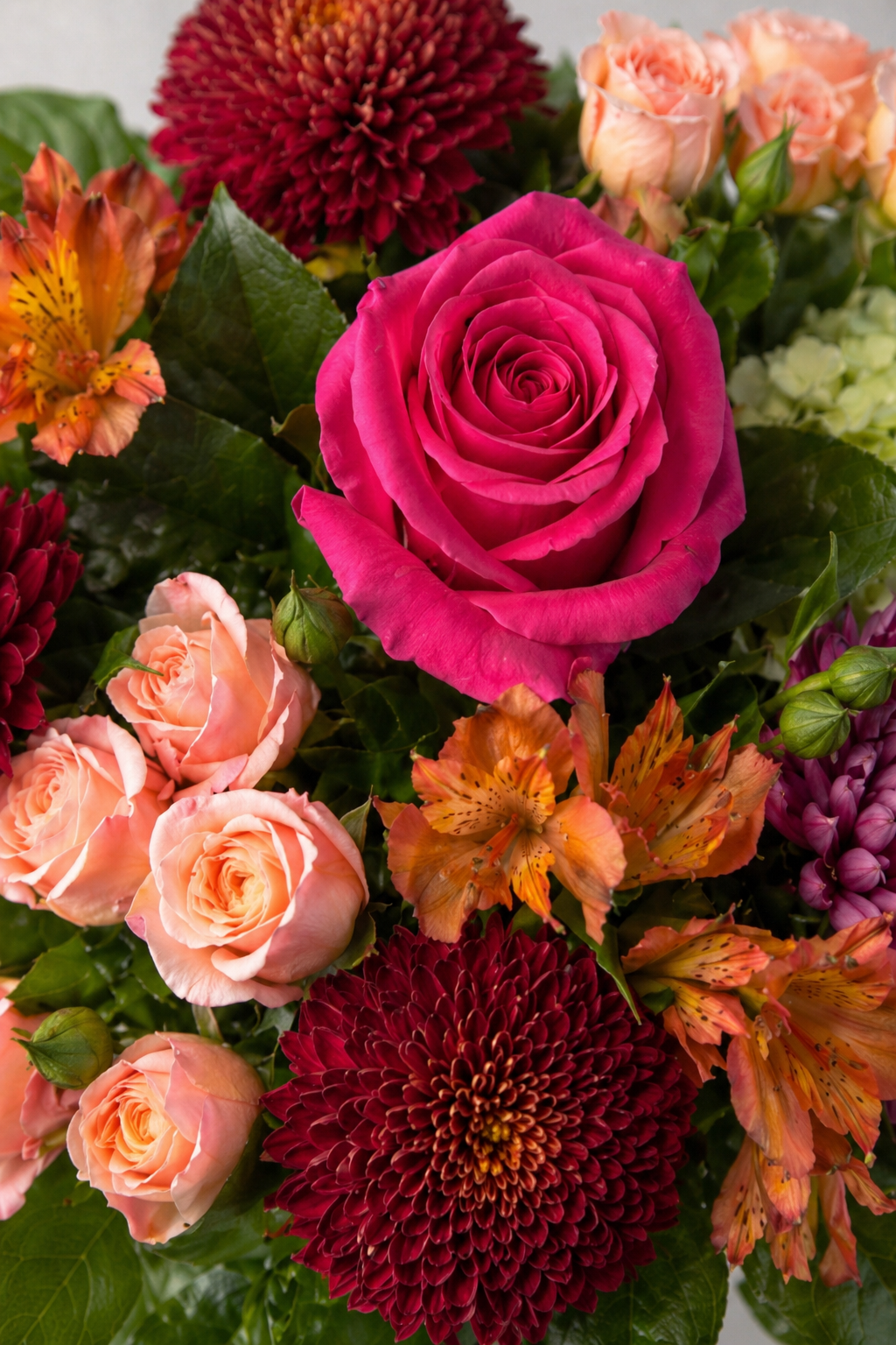 Botanical close-up of an autumn bouquet showing the velvety pink rose, peach spray roses, burgundy chrysanthemums, orange alstroemeria, mauve chrysanthemum and glossy green leaves with fine texture and petal detail, a refined floral arrangement Montreal.
