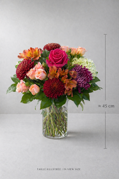 Autumn floral arrangement in a clear cylinder vase with pink rose, peach roses, burgundy and mauve chrysanthemums, orange alstroemeria and hydrangea, shown with a 45 cm size guide for a premium bouquet Montreal presentation.