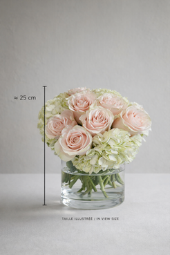 Compact blush rose and hydrangea design in a clear cylindrical vase with approximate 25 cm size reference, styled for premium bouquet Montreal and refined flower delivery Montreal presentation