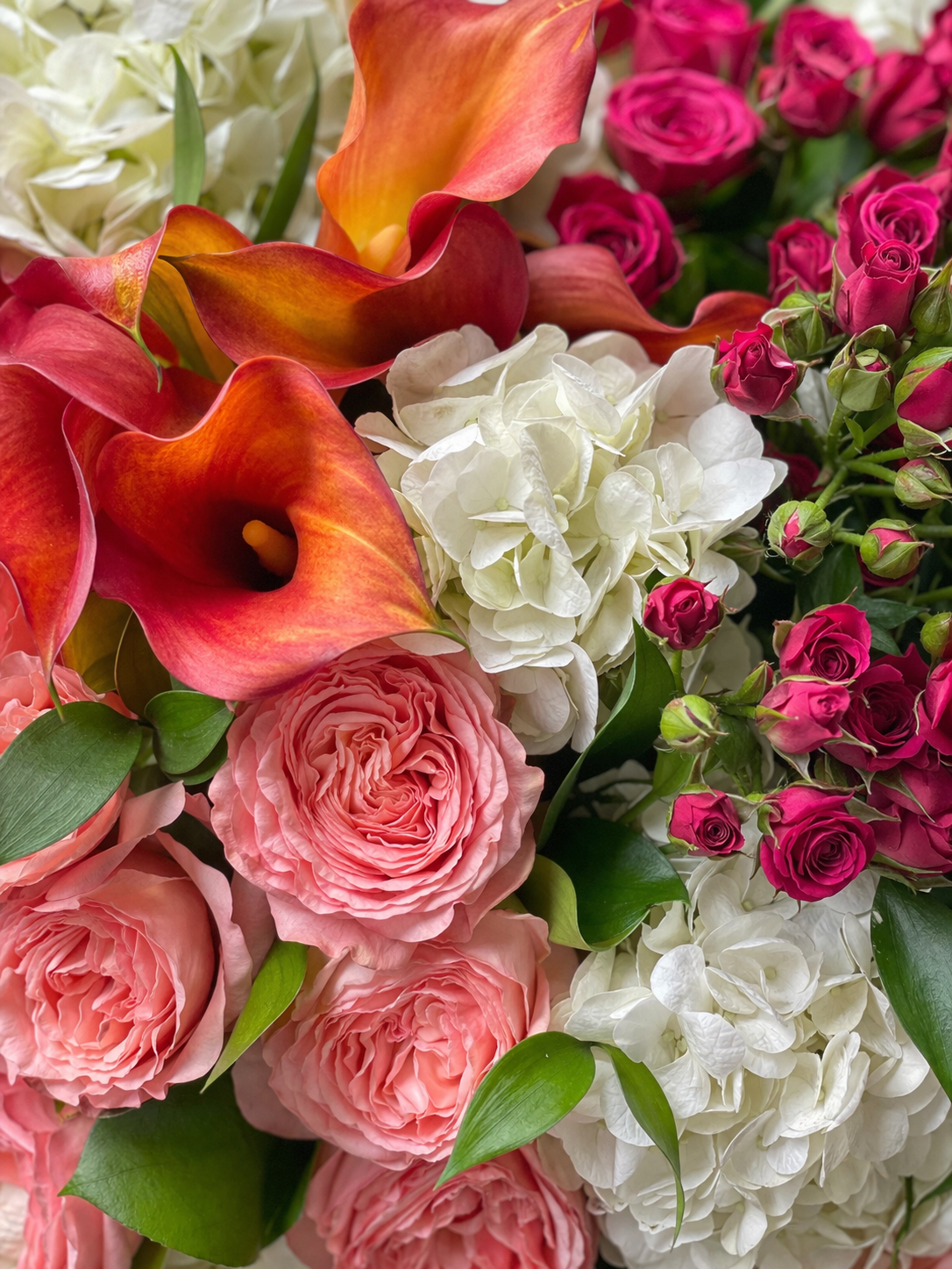 Top view of a luxury bouquet with coral garden roses, orange calla lilies, white hydrangeas, magenta spray roses, and fresh green foliage, captured with soft editorial detail for luxury flowers Montreal.