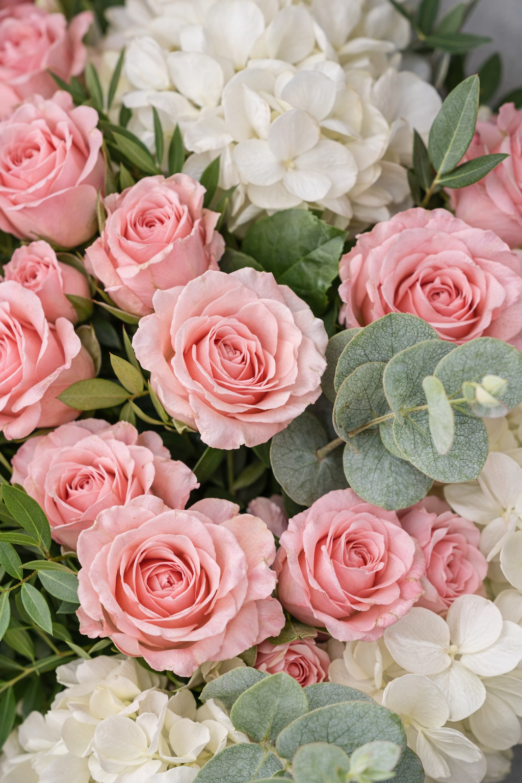 Botanical close-up of pink roses white hydrangeas and eucalyptus showing soft petals and natural foliage detail