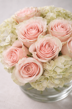 Overhead view of pale pink garden-style roses framed by light green hydrangeas, showing the rounded composition, soft petal translucency, and fresh foliage detail in luxury flowers Montreal style.