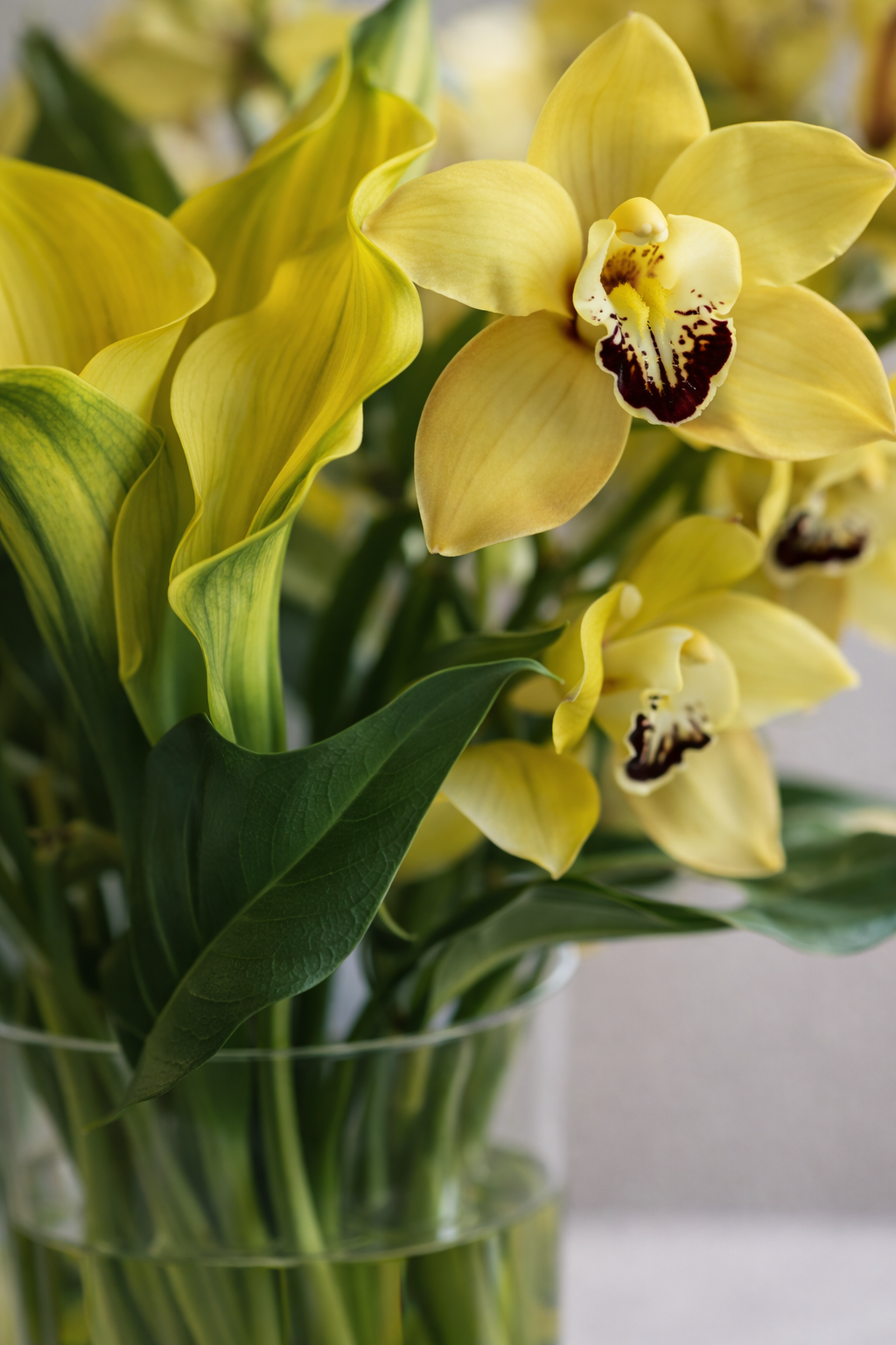 bouquets and flowers delivery in Westmount by Pourquoi Pas Fleurs