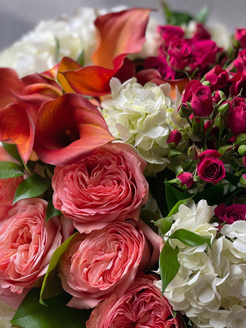 Botanical close-up of coral garden roses, orange calla lilies, white hydrangeas, and magenta spray roses with visible petal texture, soft translucency, and layered foliage in a refined floral arrangement Montreal style.