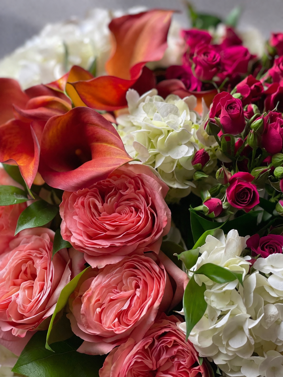 Botanical close-up of coral garden roses, orange calla lilies, white hydrangeas, and magenta spray roses with visible petal texture, soft translucency, and layered foliage in a refined floral arrangement Montreal style.
