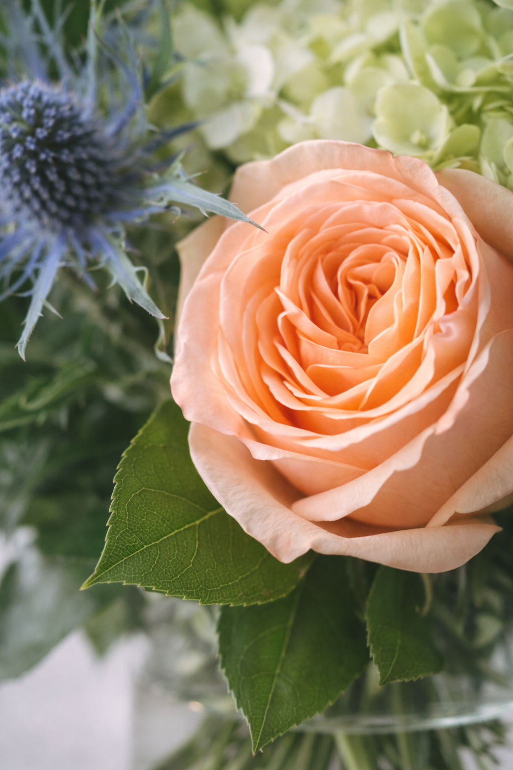 Corporate flower arrangements and office delivery in Montreal by Pourquoi Pas Fleurs