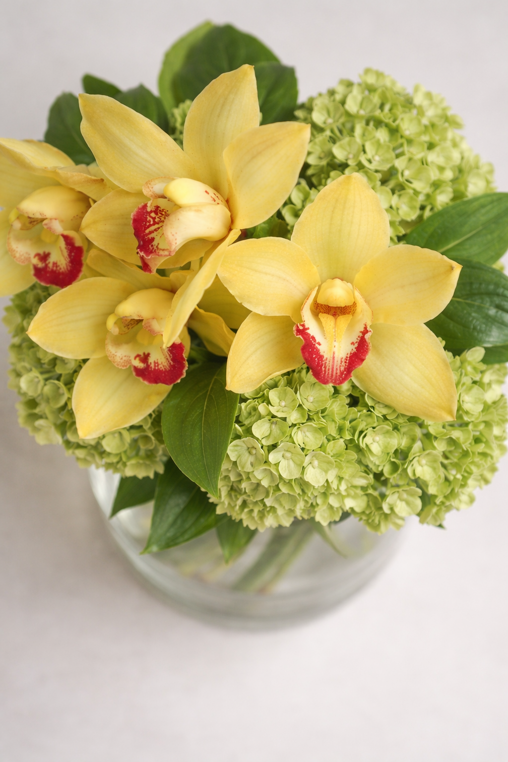 Botanical close-up of yellow cymbidium orchids with red and cream centers nestled into pale green hydrangeas, showing petal translucency and fine foliage texture in a polished premium bouquet Montreal detail shot.