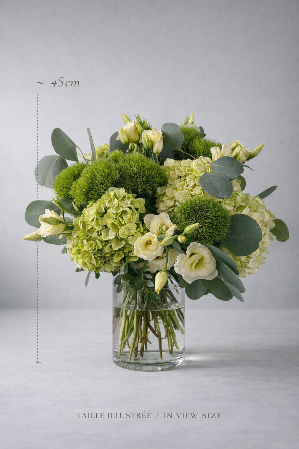 Green hydrangea and lisianthus arrangement with approximate 45 cm illustrated size by a Montreal florist
