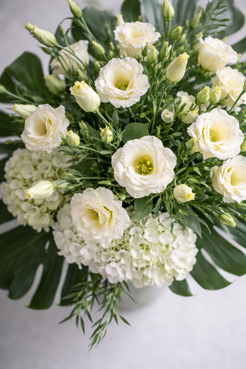 Botanical close-up of ivory lisianthus petals and white hydrangeas in a refined floral arrangement by a Montreal florist