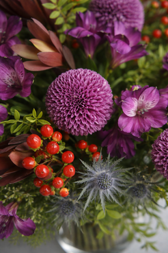 Botanical close-up of a purple floral arrangement with chrysanthemum, alstroemeria, hypericum berries, and thistle by a Montreal florist.