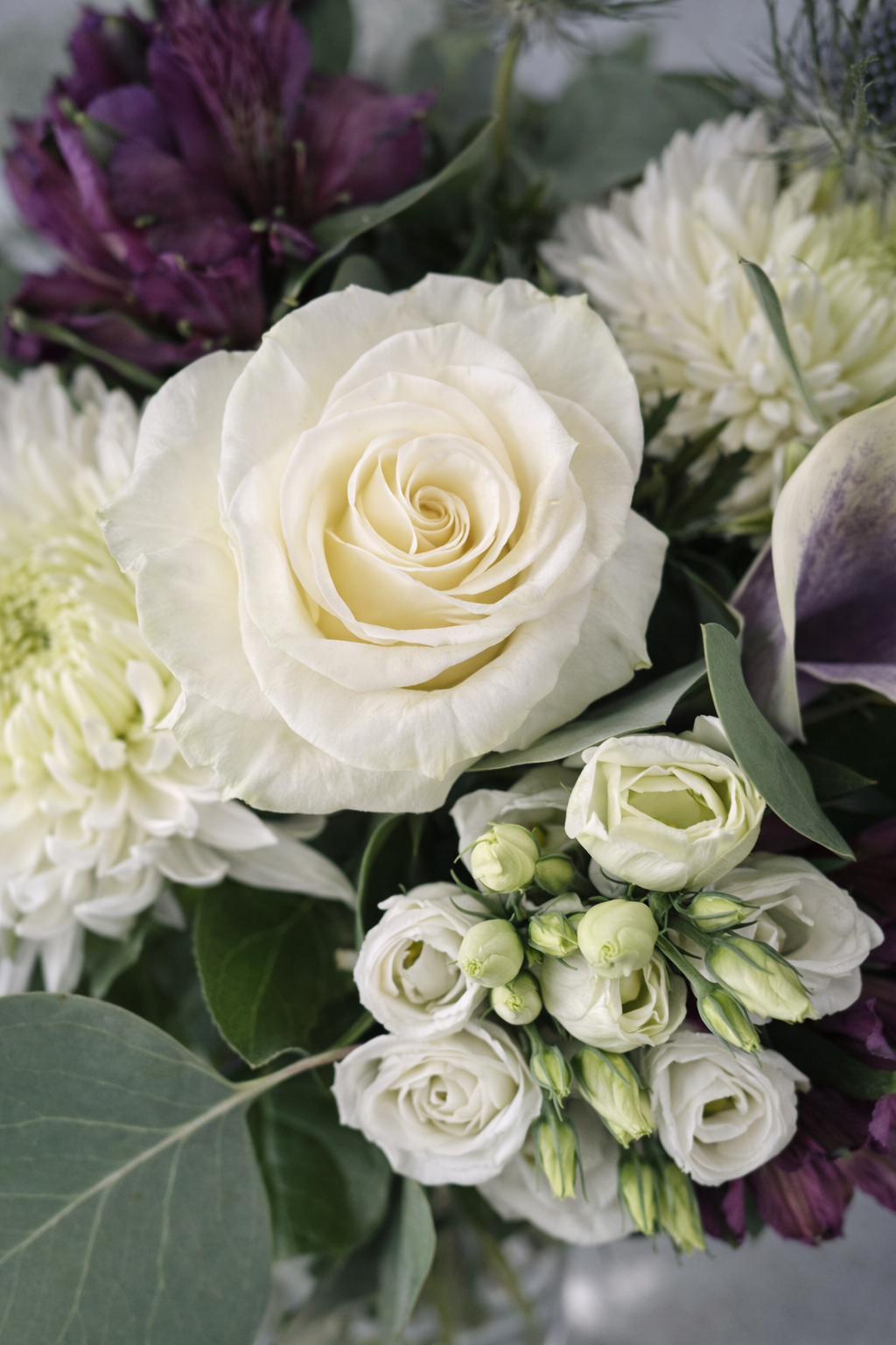 Botanical close-up of a white rose purple blooms and textured foliage in a luxury Montreal bouquet