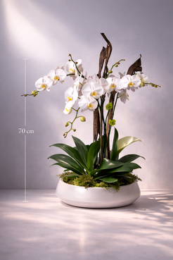 A nice ceramic with 3 orchids plants installed with exotic woods sticks