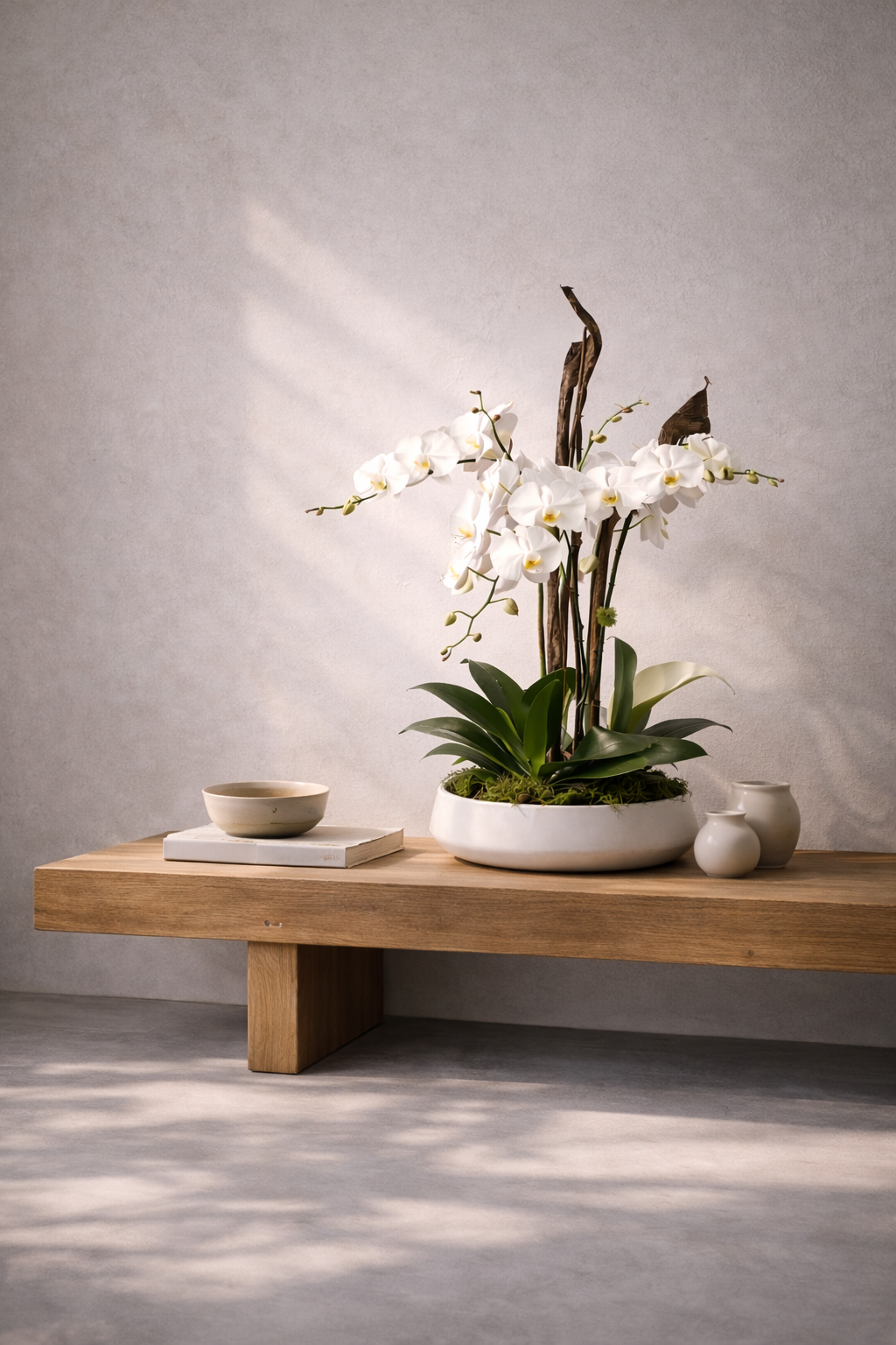 Japan plant montreal orchid