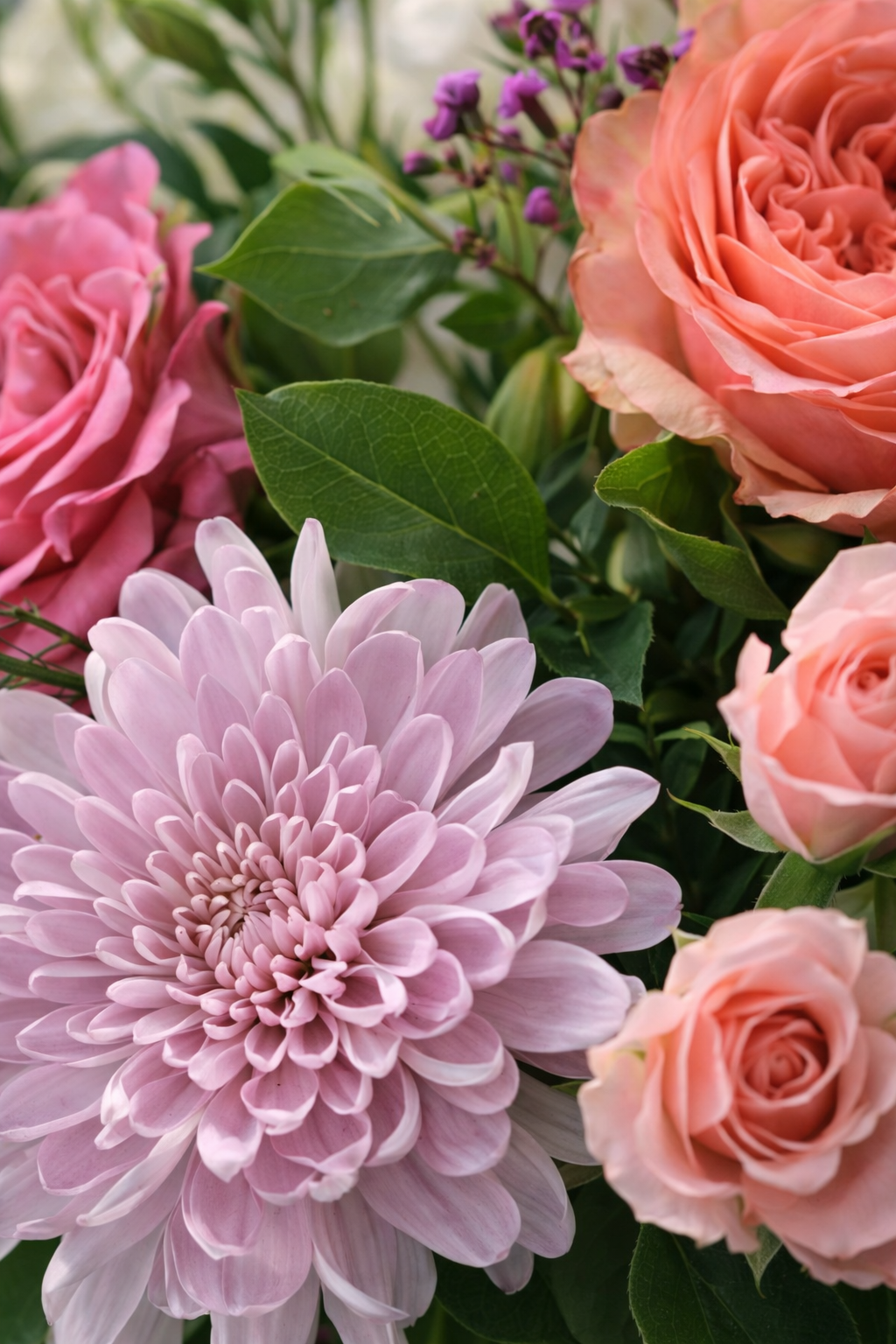 Close-up detail of pastel roses, chrysanthemum and hydrangea in a luxury floral arrangement.