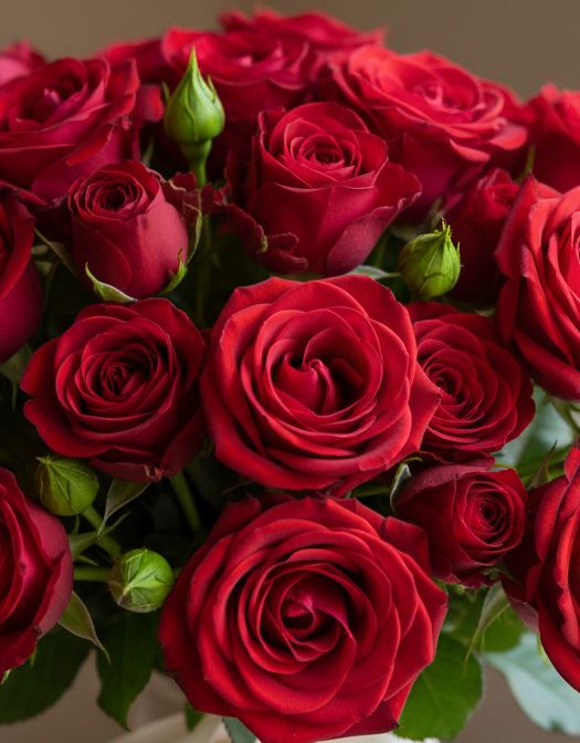 Fresh roses from a Montreal florist available for flower delivery in Montreal