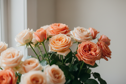 pastel peach and salmon roses