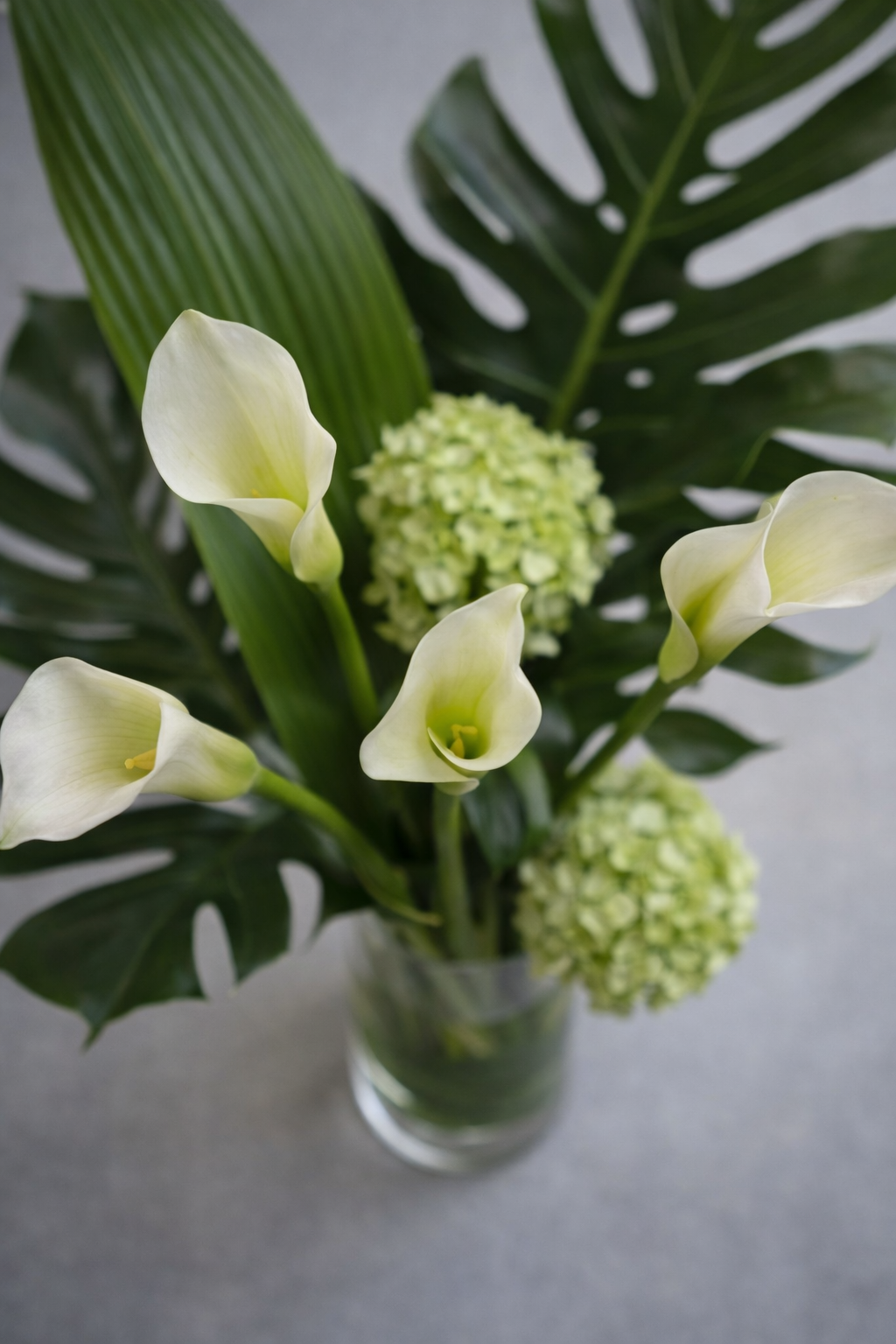Top view of white calla lilies, green hydrangeas, and sculptural tropical foliage with visible veins and soft petal translucency in a refined floral arrangement Montreal style.