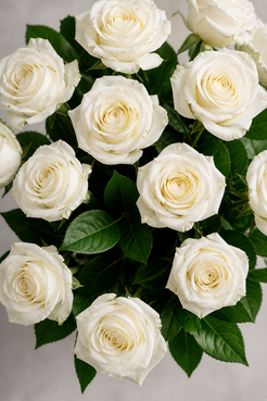 Top view of white cream Mondial roses with deep green foliage, highlighting layered blooms, natural petal translucency, and a luxury flowers Montreal aesthetic.