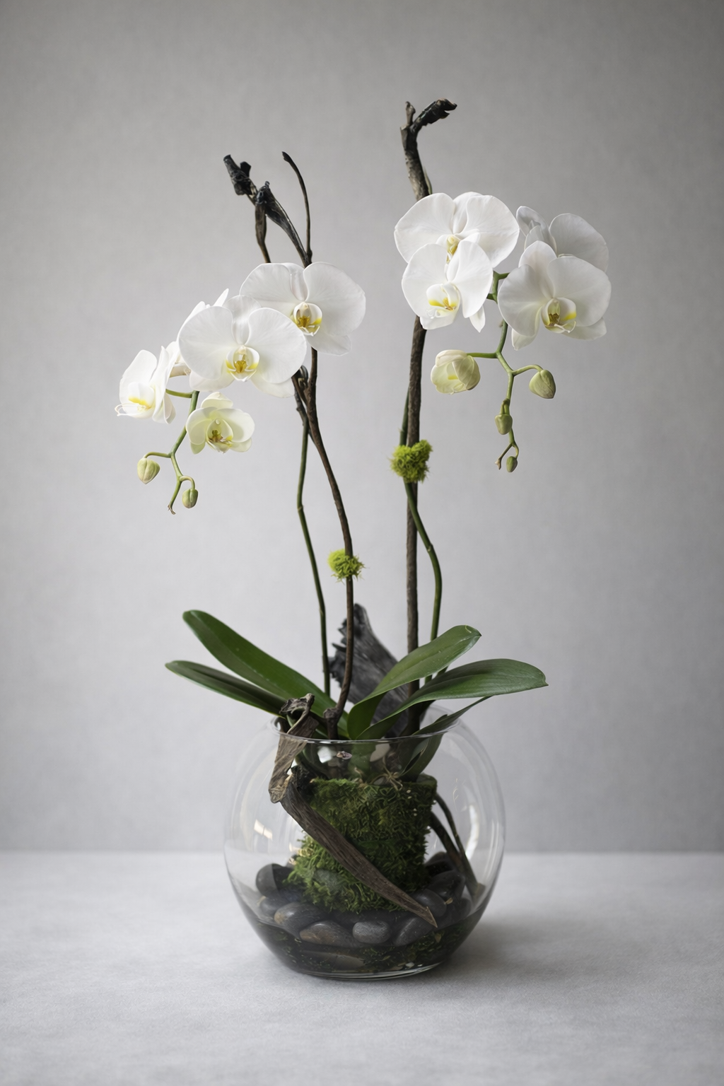 Sympathy Message Examples for Flower Delivery | Pourquoi Pas Fleurs