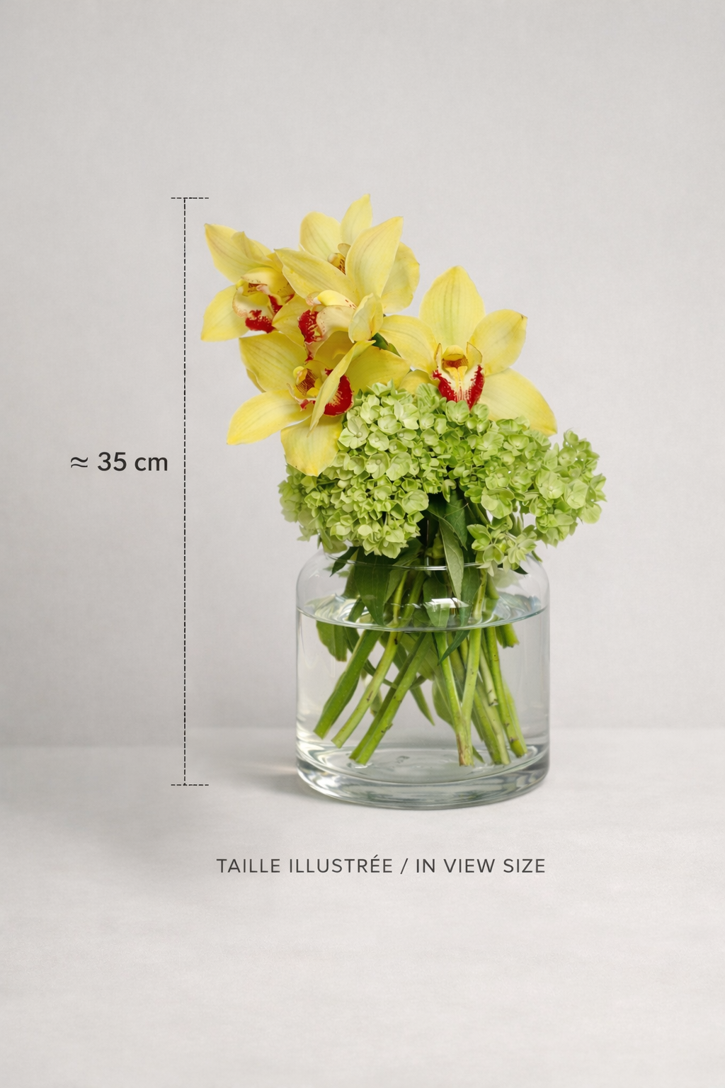 Yellow cymbidium orchid and green hydrangea arrangement in a clear glass vase with approximate 35 cm size reference, styled as an elegant premium bouquet Montreal image with clean studio composition and bilingual size note.