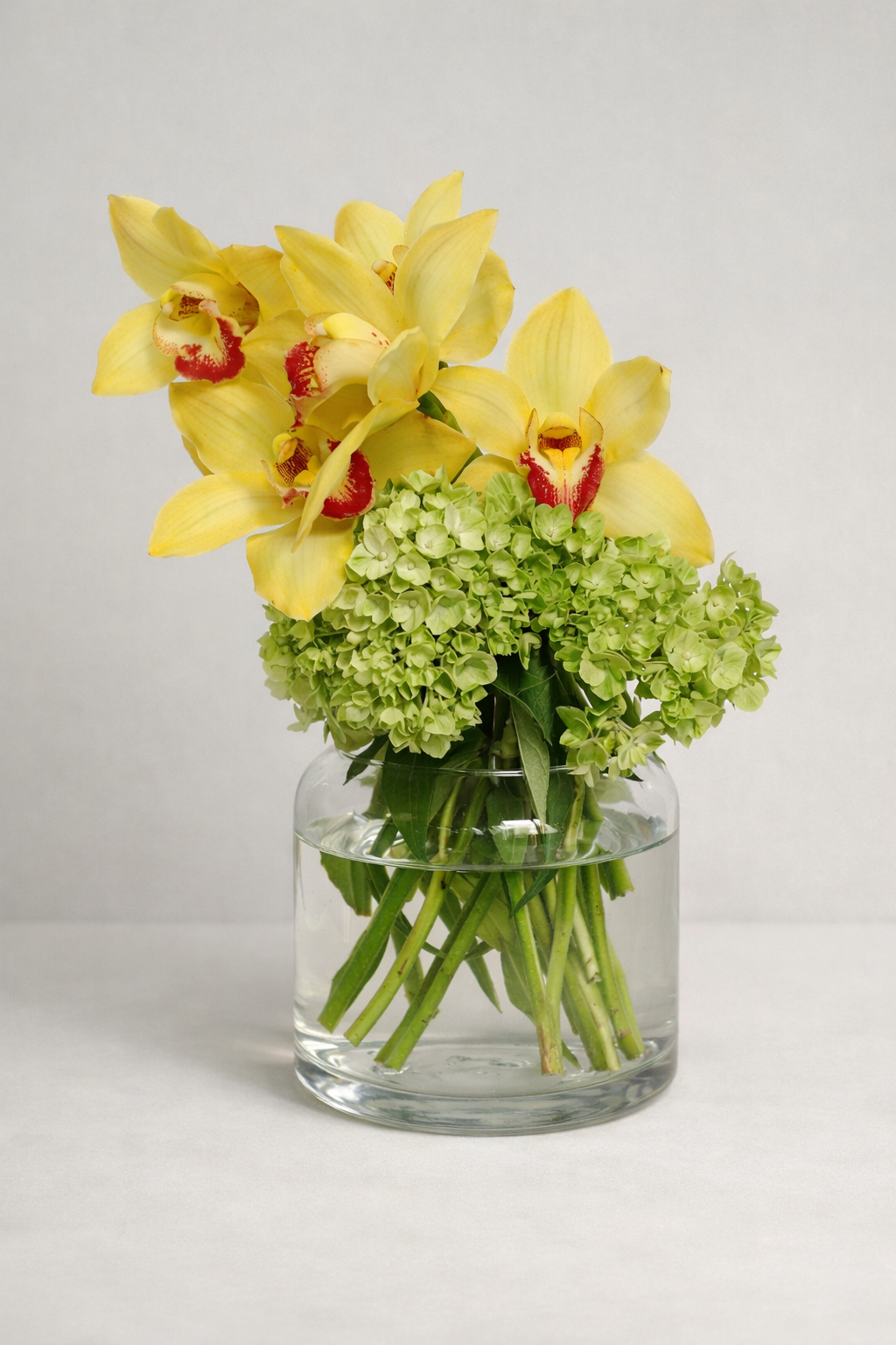 Yellow cymbidium orchids with soft green hydrangeas arranged in a clear cylindrical glass vase, photographed front-facing against a pearl-grey editorial backdrop for a refined floral arrangement Montreal look by a luxury florist Montreal.