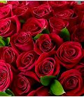 Passion red roses bouquet